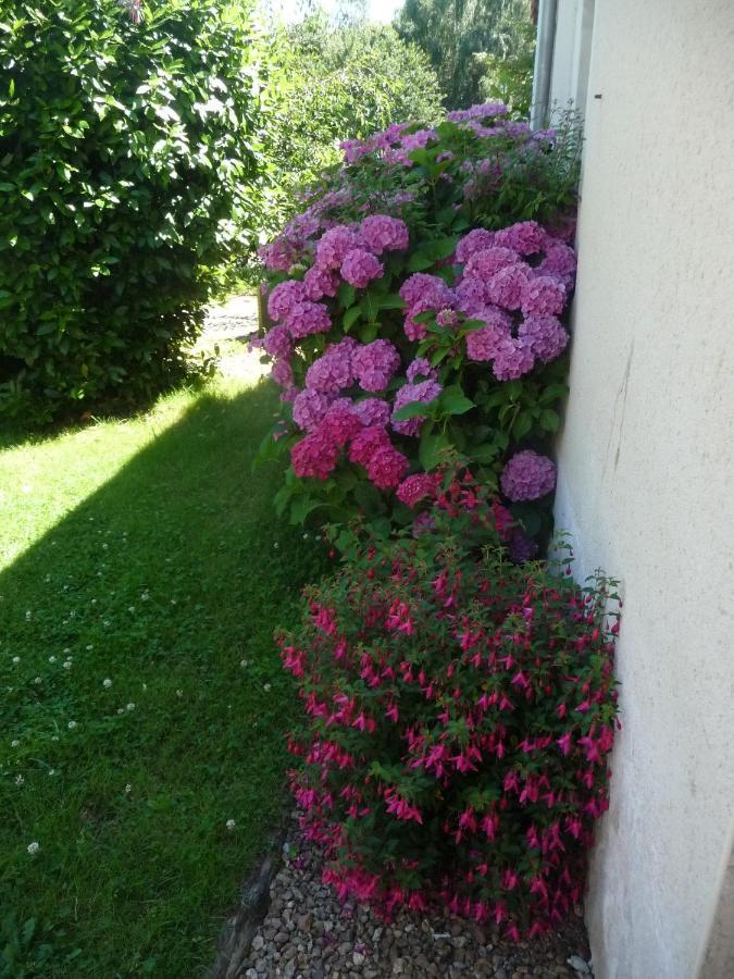 Chambre d'hôte en Vallée du Loir - Elevage des Rosiers Bazouges-sur-le-Loir Extérieur photo