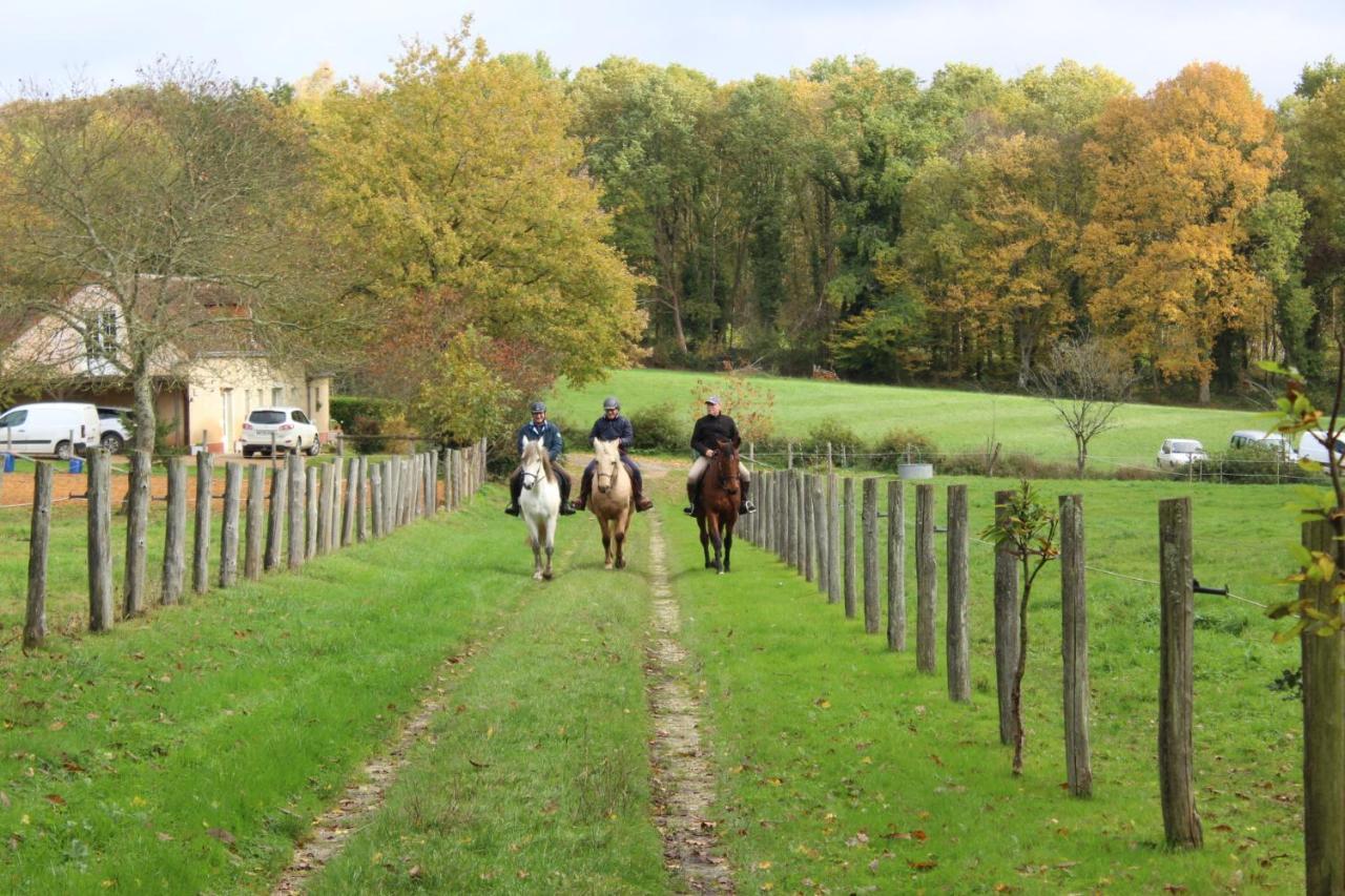 Chambre d'hôte en Vallée du Loir - Elevage des Rosiers Bazouges-sur-le-Loir Extérieur photo